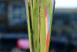 ICC Champions Trophy 2025 trophy shining with elegant design and cricket-themed details.