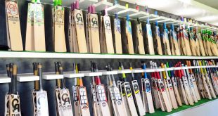 A display of premium cricket bats arranged neatly on shelves in a sports shop, showcasing various brands and models with vibrant designs.